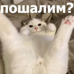 lolanimals4 — стикер для MAX