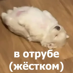 lolanimals4 — стикер для MAX