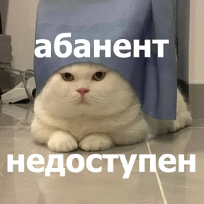 lolanimals4 — стикер для MAX