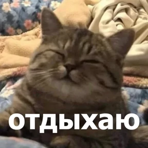 lolanimals4 — стикер для MAX