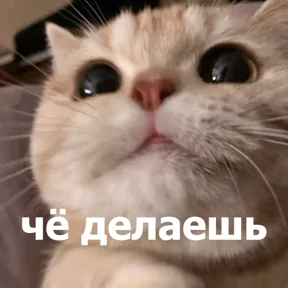 Стикер из сообщения канала