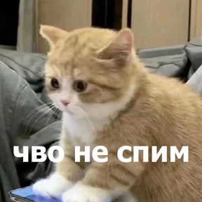 lolanimals4 — стикер для MAX