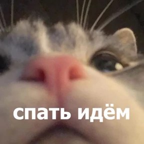 lolanimals4 — стикер для MAX