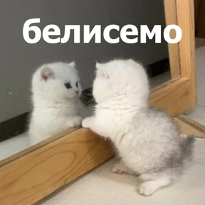 lolanimals4 — стикер для MAX