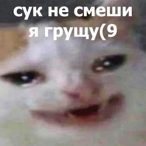 lolanimals4 — стикер для MAX