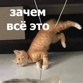 lolanimals4 — стикер для MAX