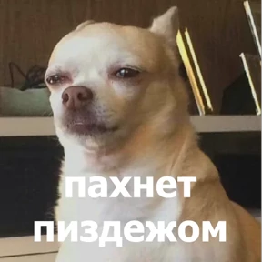 lolanimals4 — стикер для MAX