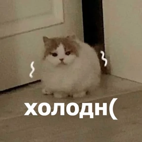lolanimals4 — стикер для MAX