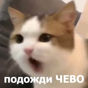 lolanimals4 — стикер для MAX