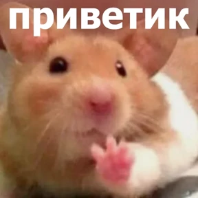 lolanimals4 — стикер для MAX