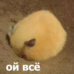 lolanimals4 — стикер для MAX