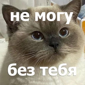 lolanimals4 — стикер для MAX