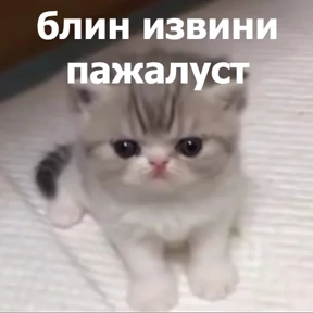 lolanimals4 — стикер для MAX