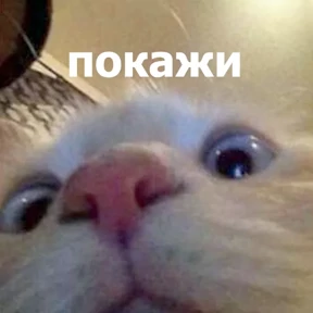 lolanimals4 — стикер для MAX