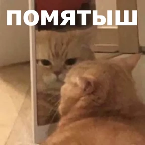 lolanimals4 — стикер для MAX