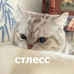 lolanimals4 — стикер для MAX
