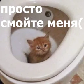 lolanimals4 — стикер для MAX