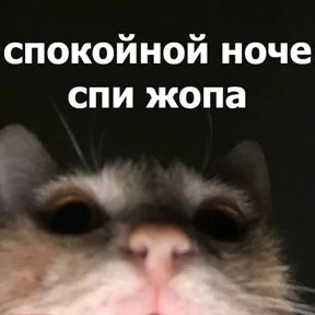 lolanimals4 — стикер для MAX