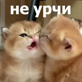 lolanimals4 — стикер для MAX