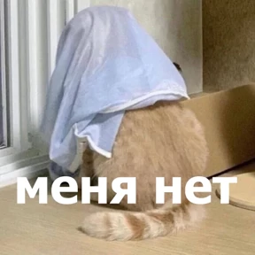 lolanimals4 — стикер для MAX