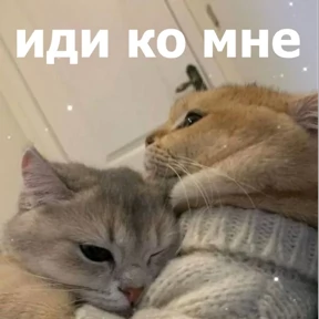 lolanimals4 — стикер для MAX