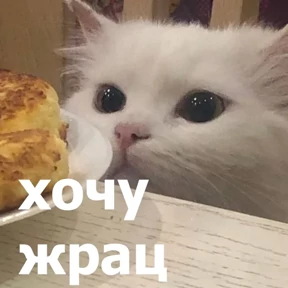 lolanimals4 — стикер для MAX