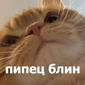 lolanimals4 — стикер для MAX