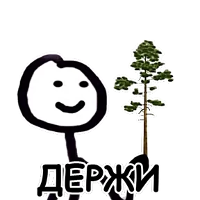 terebonk — стикер для MAX