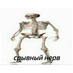 Стикер