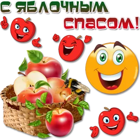 Фото — 18 августа 2026 г. в 23:00:04.783