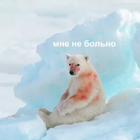 Стикер
