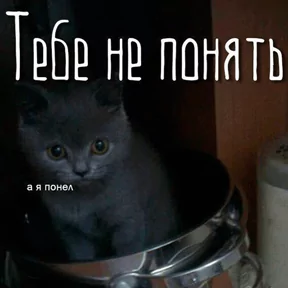 Фото — 26 августа 2026 г. в 15:07:00.309