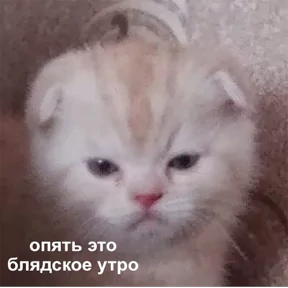 Фото — 31 августа 2026 г. в 20:00:03.491