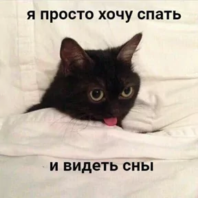 Фото — 26 сентября 2026 г. в 09:49:31.224