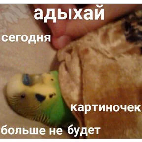 20dabc330