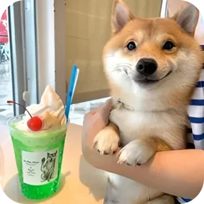 Стикер из сообщения канала