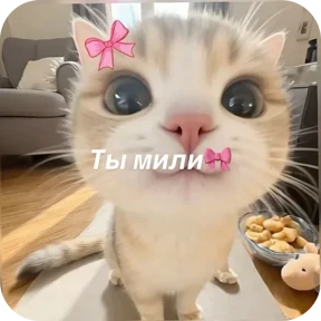 Котяточки — стикер для MAX