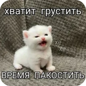 Стикер