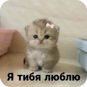 Стикер из сообщения канала