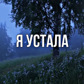 Стикер