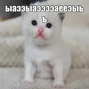 Стикер из сообщения канала