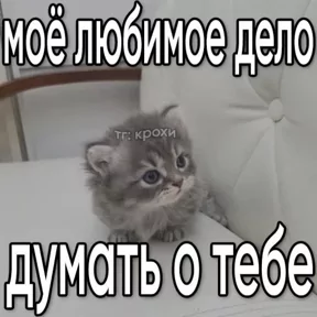 Стикер