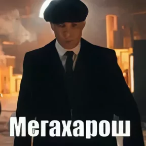 Фото — 20 августа 2026 г. в 10:07:00.714