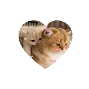 Котики в сердечках — стикер для MAX