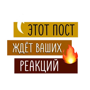 Стикер