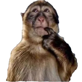Стикер