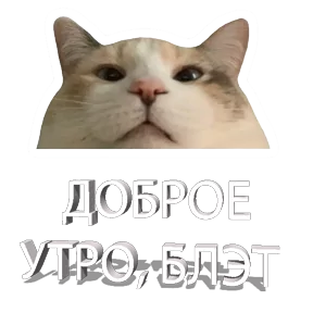 Стикер