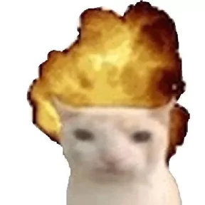 Публикация
