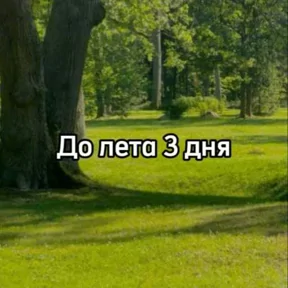 Стикер из сообщения канала
