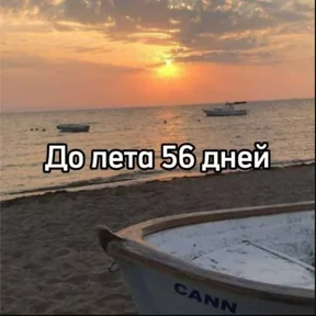 До лета — стикер для MAX